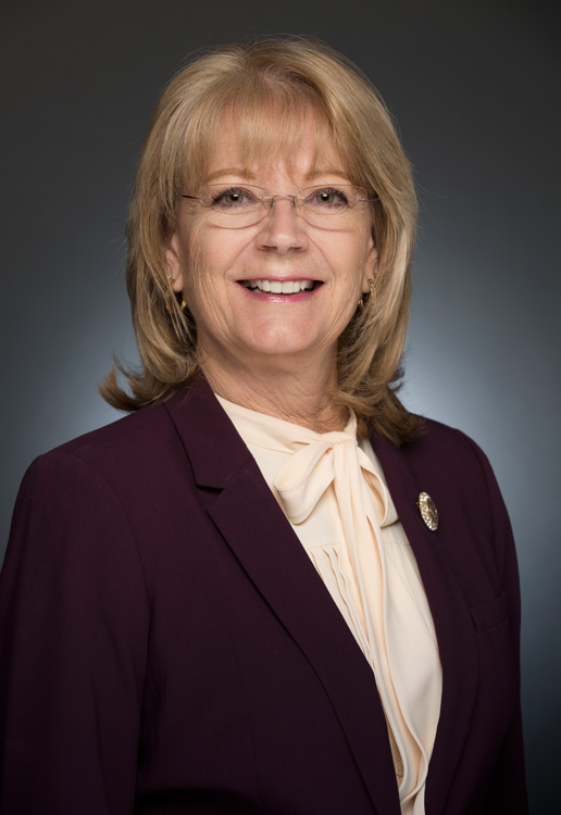 Photo of Karen Fann